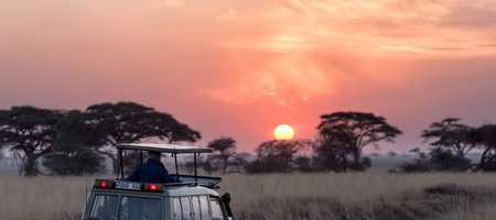 A jeep drives towards sunset on the African savannah.